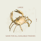 SENTINEL CRAB